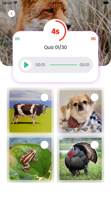 Animal Games : Trivia Sound