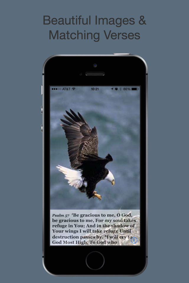 Psalm Daily Quotes NASB