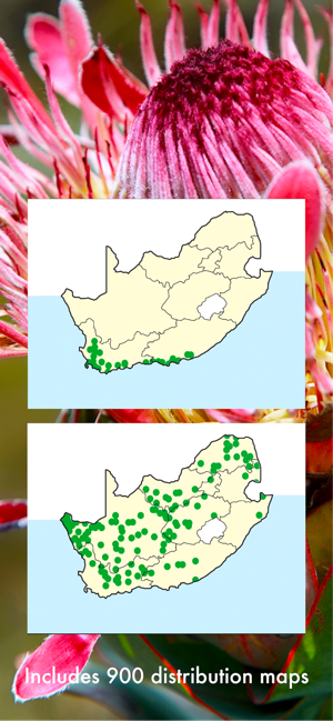 Wildflowers of South Africa(圖5)-速報App