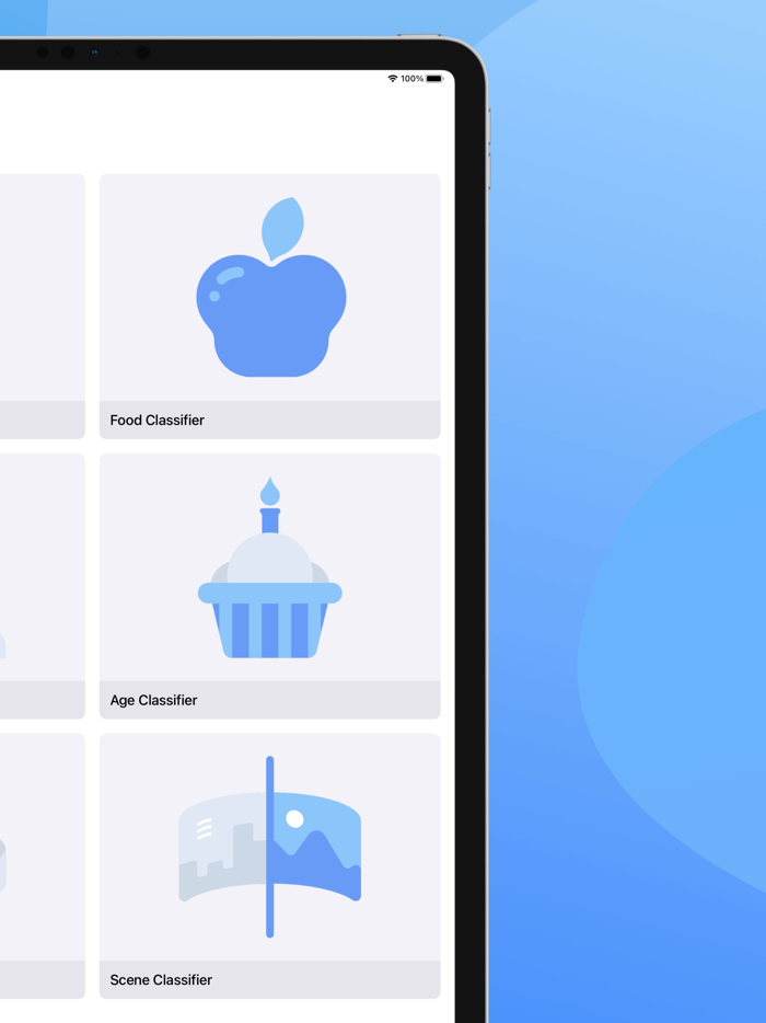 Classify Image Classifier