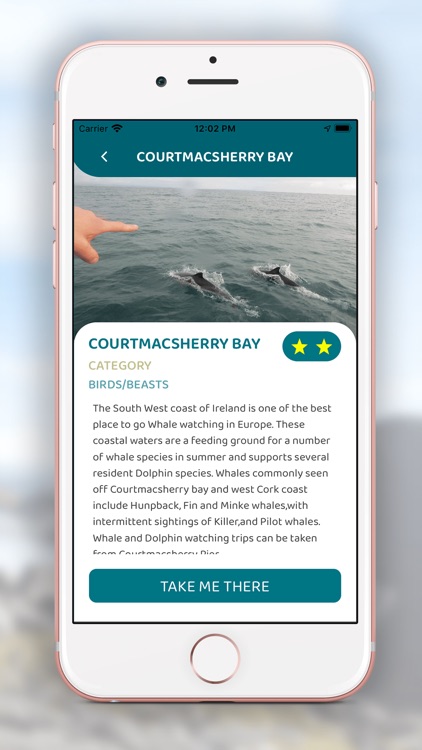 Atlantic Way Explorer screenshot-4