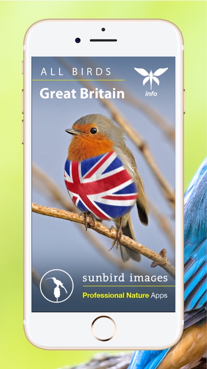 All Birds UK - the Photo Guide