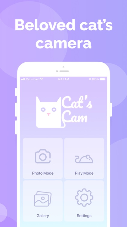 Cat's Cam: selfie of your pet