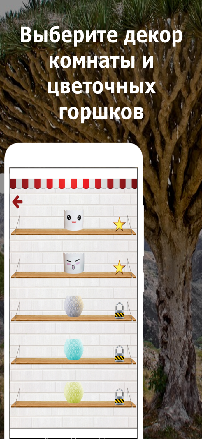 Lucky tree - plant your tree