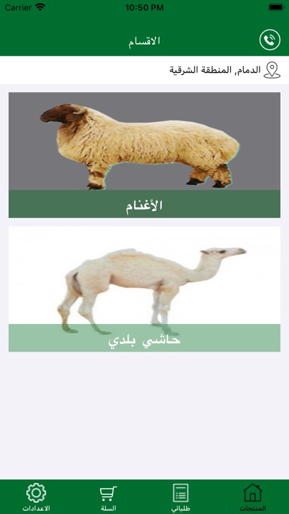 Gulf Cattle - المواشي الخليجية