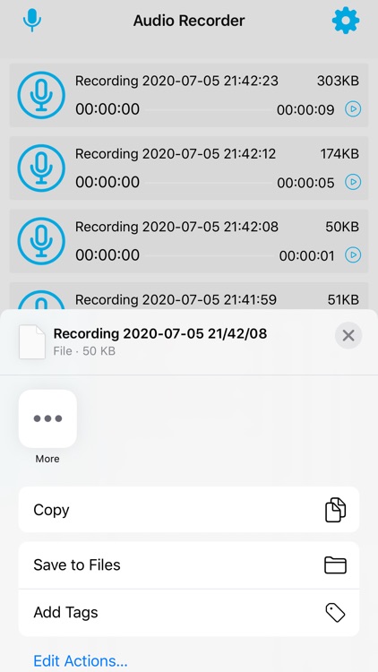 Audio Recorder For Voice