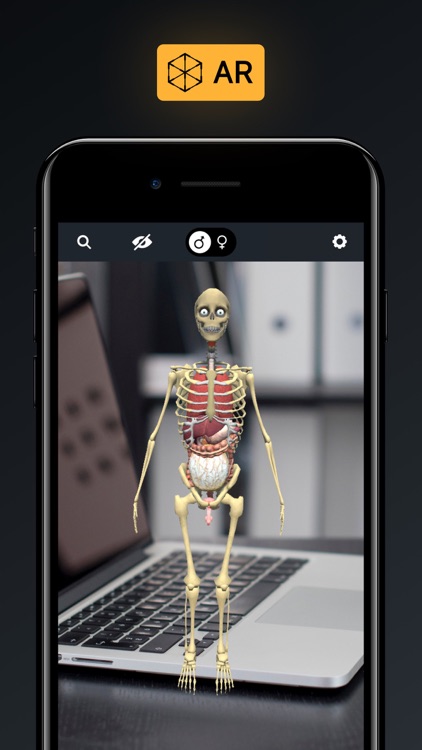 Human Body Atlas: 3D Medical screenshot-4