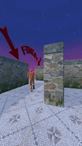 Game screenshot Labyrinth.io apk