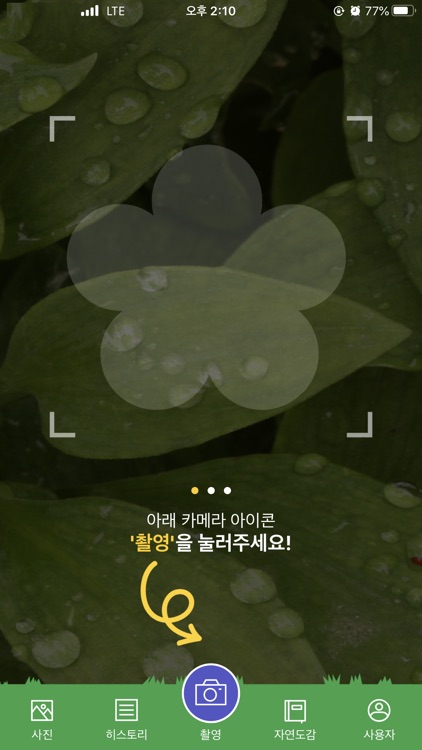 Naturei 나무/식물/곤충 인식