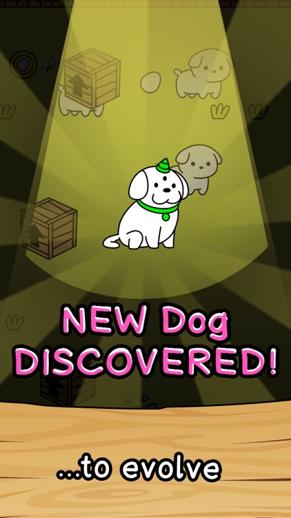 Dog Merge Evolution