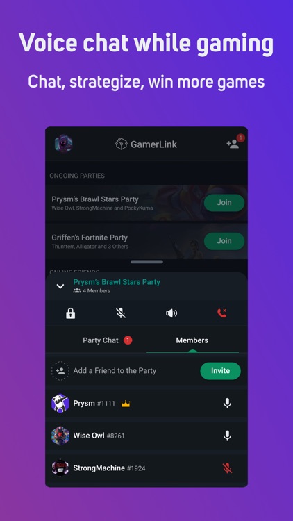 GamerLink - LFG & Voice Chat screenshot-0