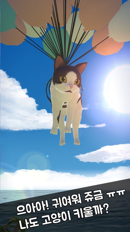 냥냥 고양이 리조트