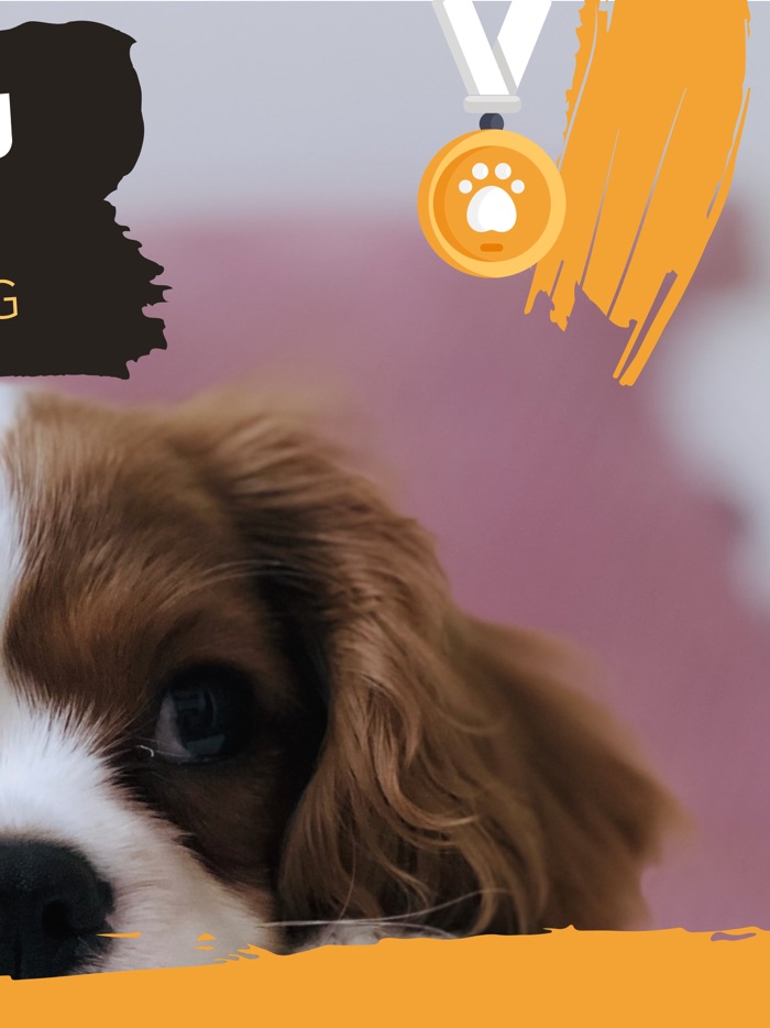 Puppy Training Chewy Tips App