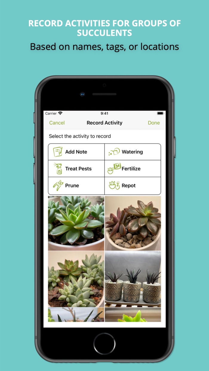 Succulent Tracker