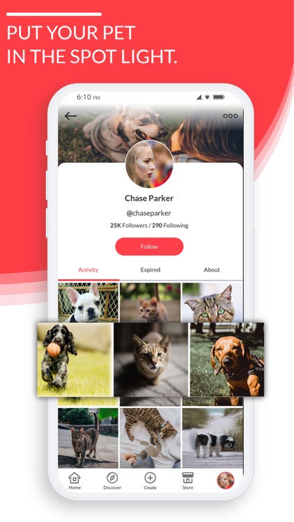 Yapeta - Social App For Pets screenshot-4