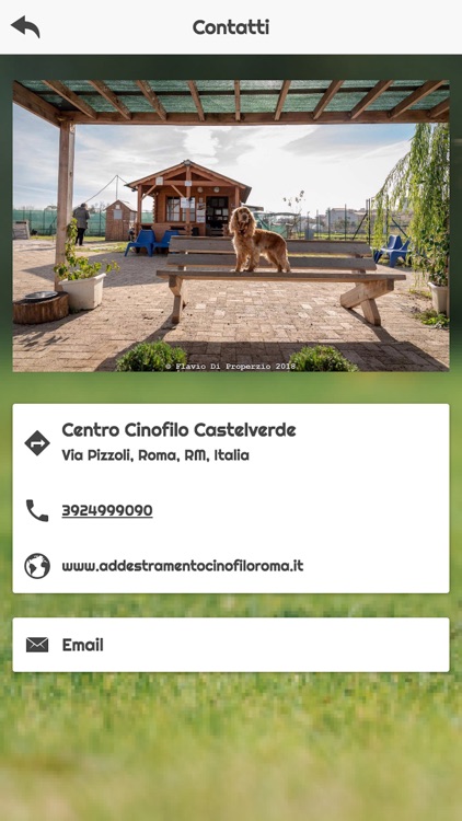 Centro Cinofilo Castelverde