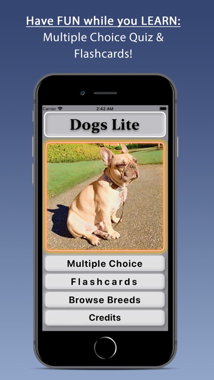 Dogs Lite - Photo Breeds Quiz