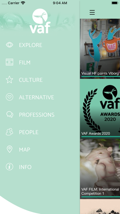 VAF 2019 screenshot 2