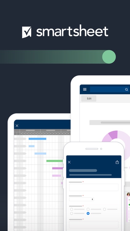 Smartsheet: Teams & Projects screenshot-0