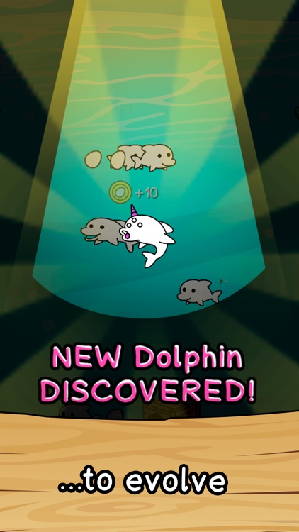 Dolphin Evolution