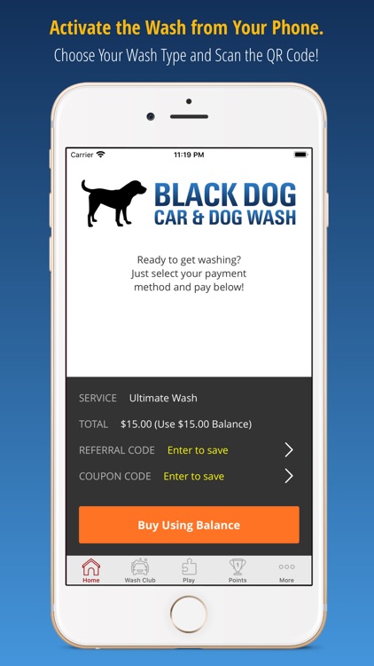 Black Dog Car and Dog Wash