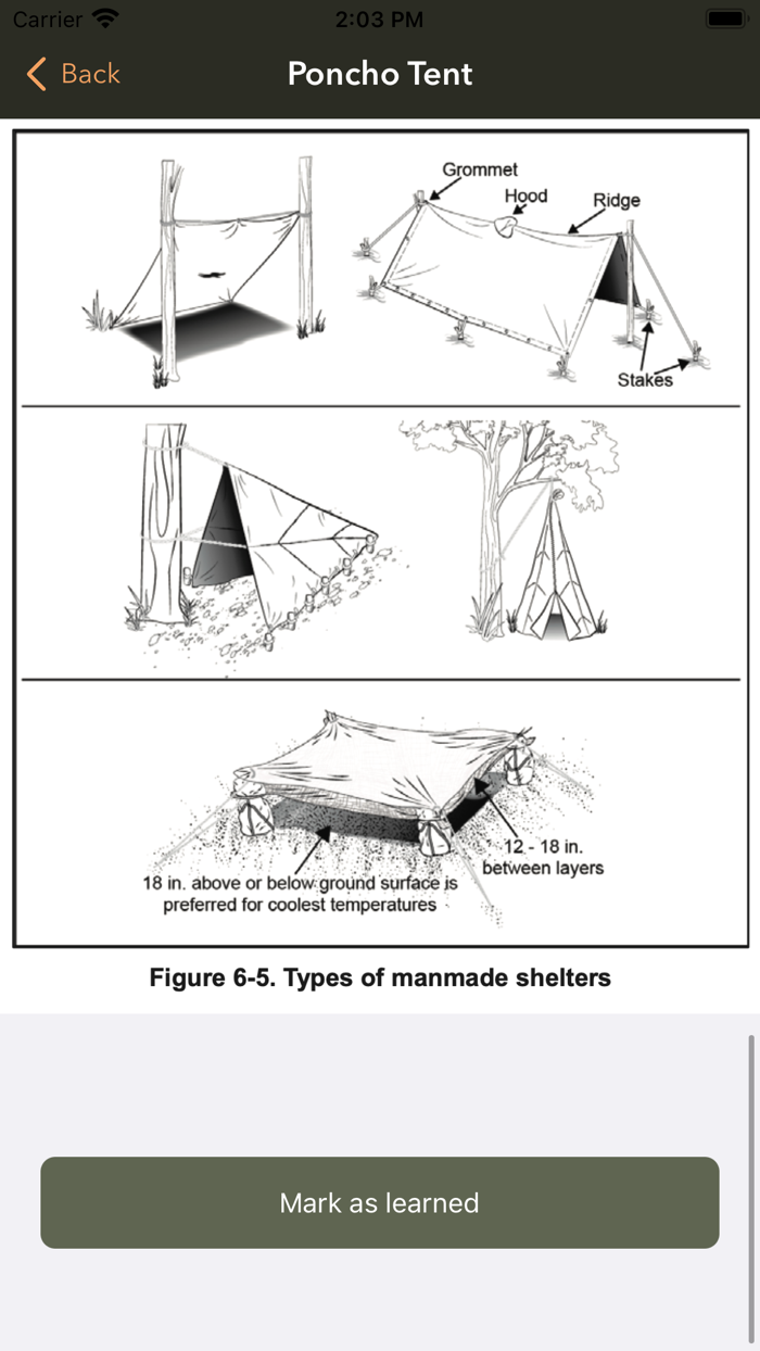 Army Survival Skills  Tactics