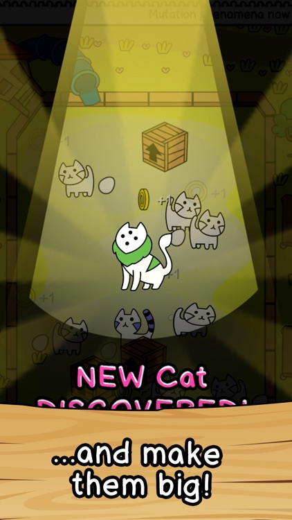 Cat Evolution: Clicker Game