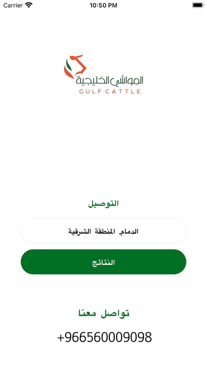 Gulf Cattle - المواشي الخليجية