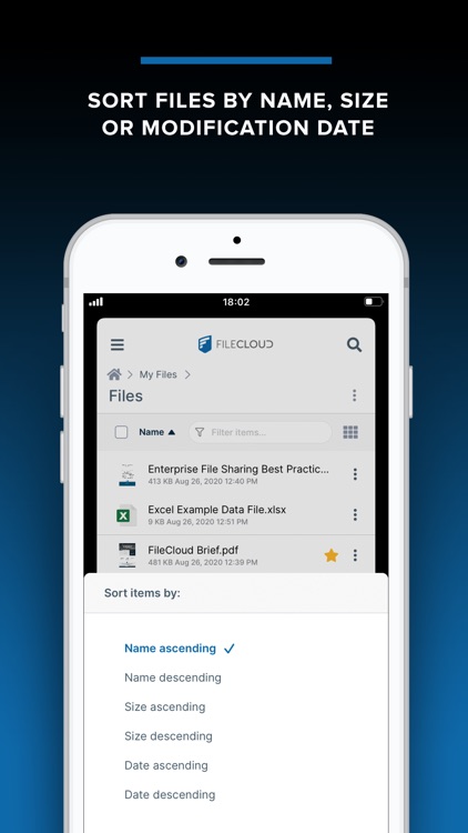 FileCloud screenshot-5
