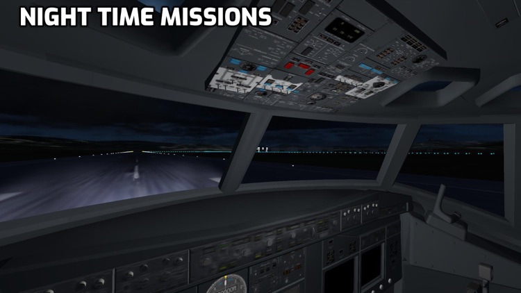 NG Flight Simulator screenshot-5