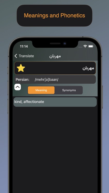 Persian Dictionary - دیکشنری screenshot-5