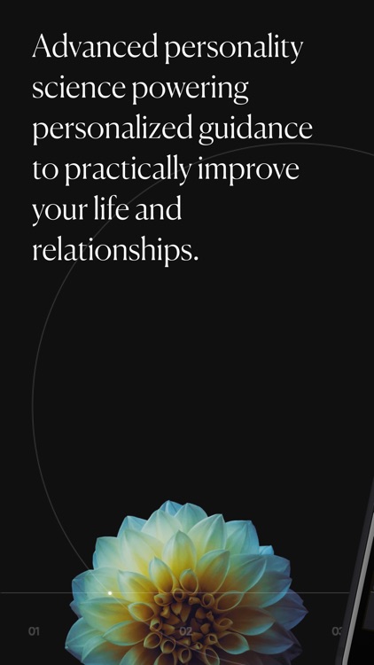Dimensional: Personality Test