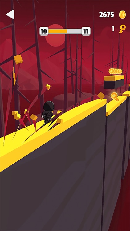 Rush Runner 3D screenshot-1
