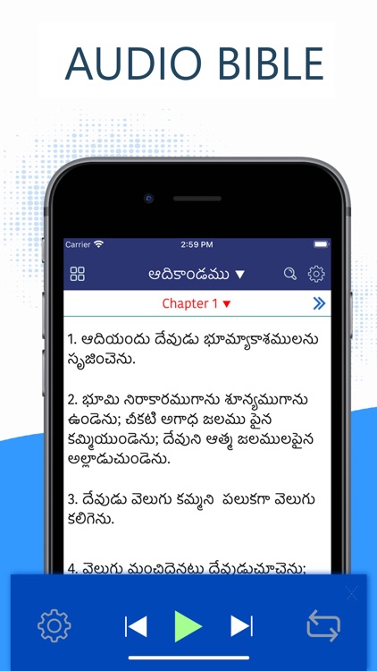 Telugu Bible Pro (Grandhamu) screenshot-4