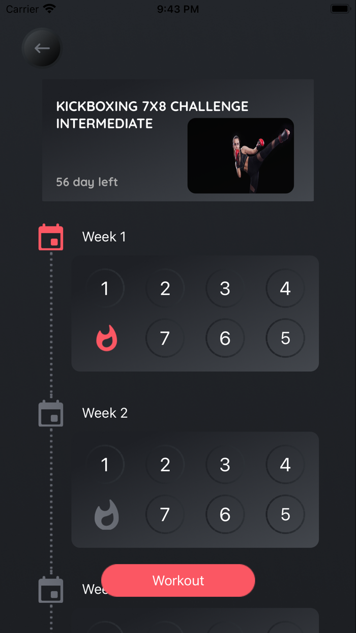 Female Kickboxing Fitness