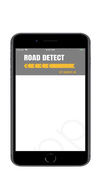 RoadDetect