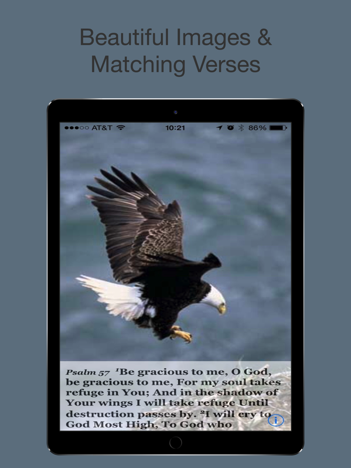 Psalm Daily Quotes NASB