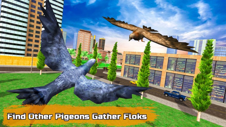 City Bird Pigeon Simulator screenshot-4