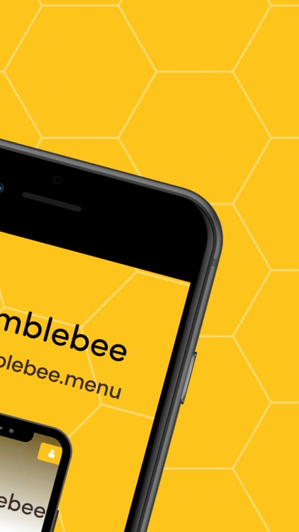 Bumblebee - We Deliver