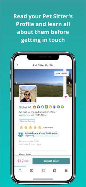 mad paws dog walking