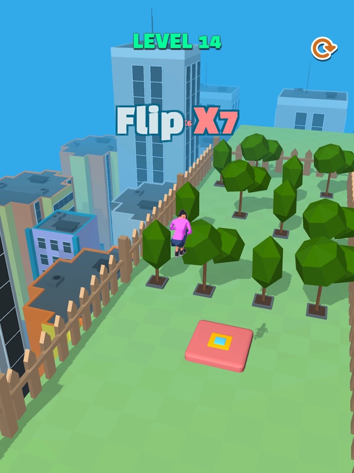 Seesaw Flip