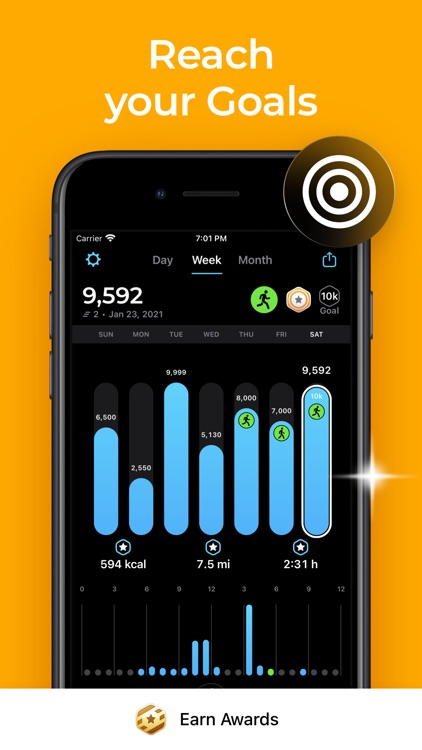 StepsApp Pedometer