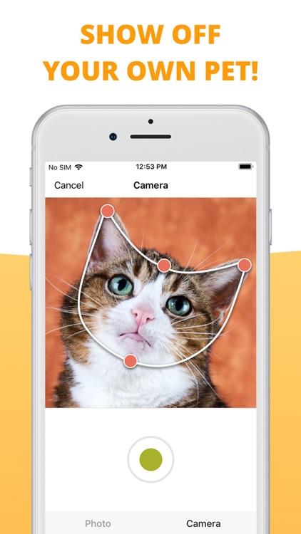 My Talking Animals & Pet App screenshot-1