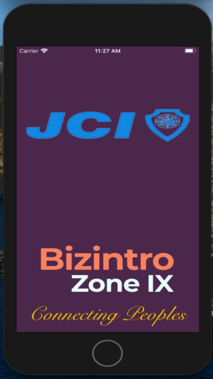 Bizintro Zone IX