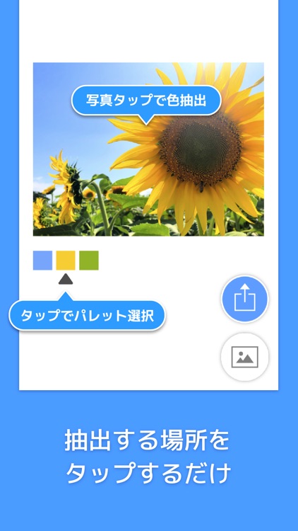 Picolor - 色を抽出できる写真加工アプリ screenshot-3