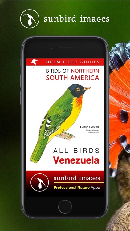 All Birds Venezuela - guide by Mullen & Pohland GbR