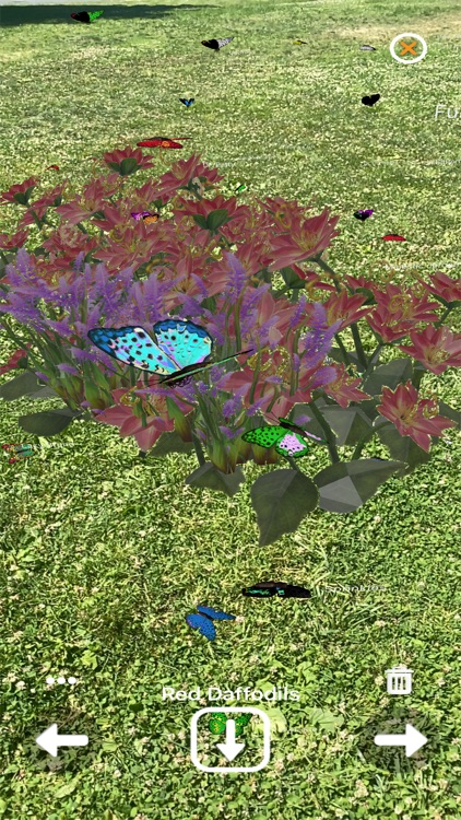 1001 Butterflies screenshot-6