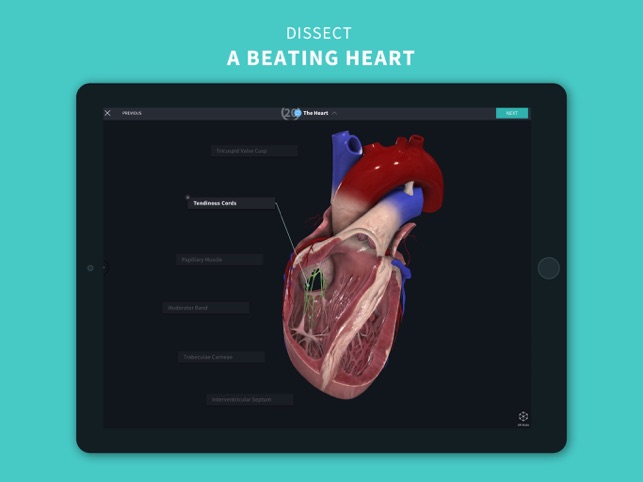 36 Best Images Complete Anatomy App Customer Service : Rika On Twitter Hi I Want To Recommend An Amazing Anatomy App Called Complete Anatomy 19 It S 45 But You Can Try It 3 Days For Free Sometimes They Have Discount Too