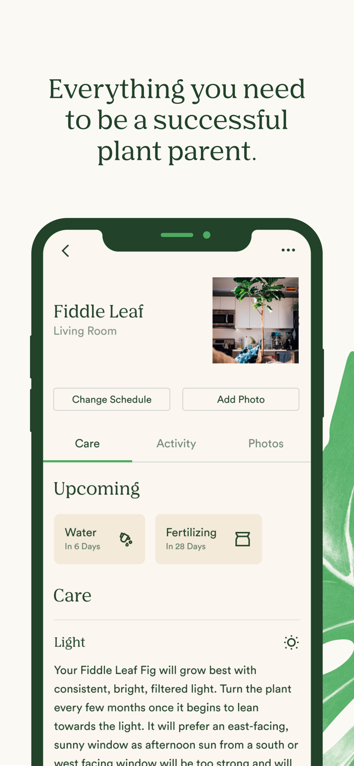 Vera Plant Care Made Simple