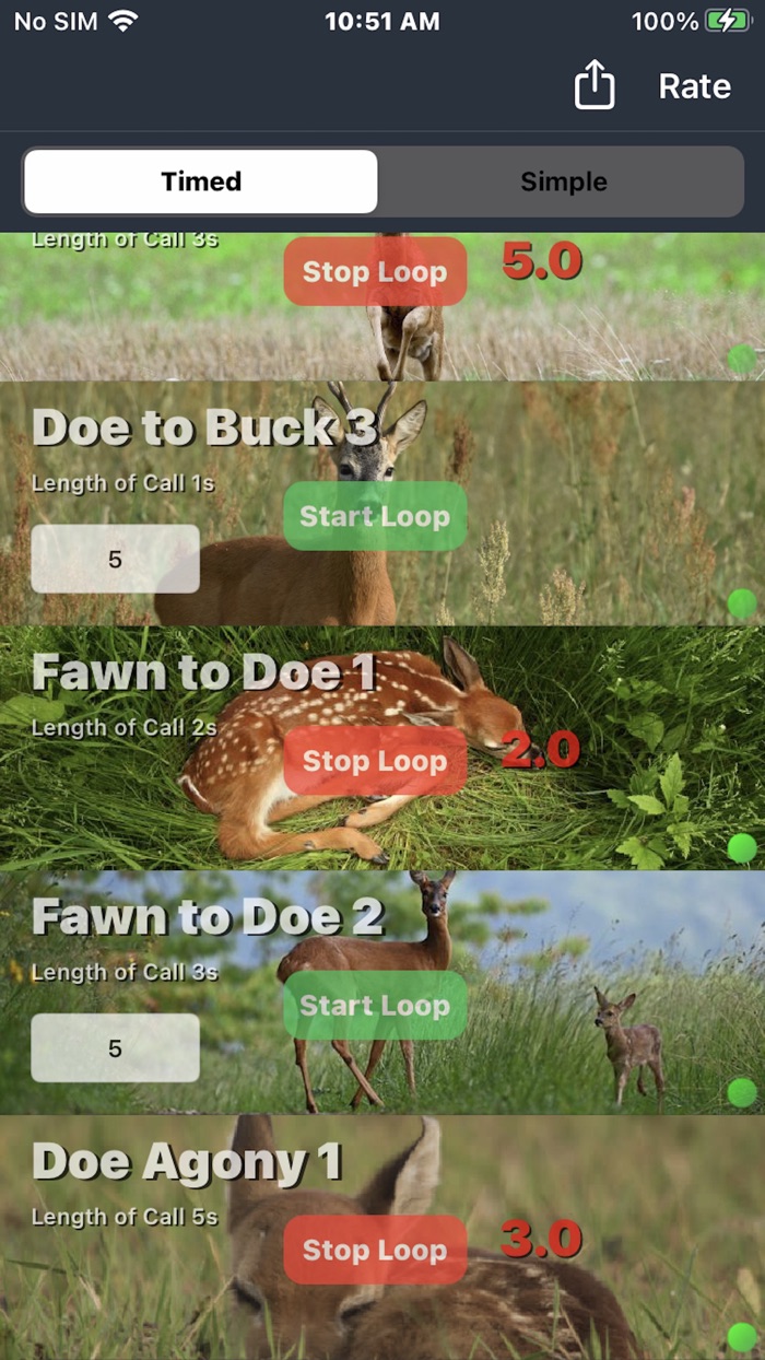 Roebuck Calls for Roe Deer